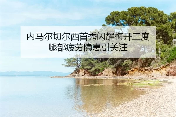 nei-ma-er-qie-er-xi-shou-xiu-shan-yao-mei-kai-er-du-tui-bu-pi-lao-yin-huan-yin-guan-zhu-2-380.jpg